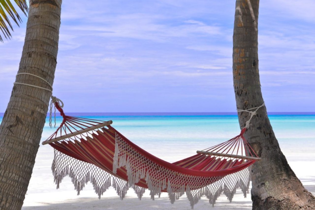 red-hamick-between-two-palmtree-trucks-on-sandy-beach-with-clear-blue-water