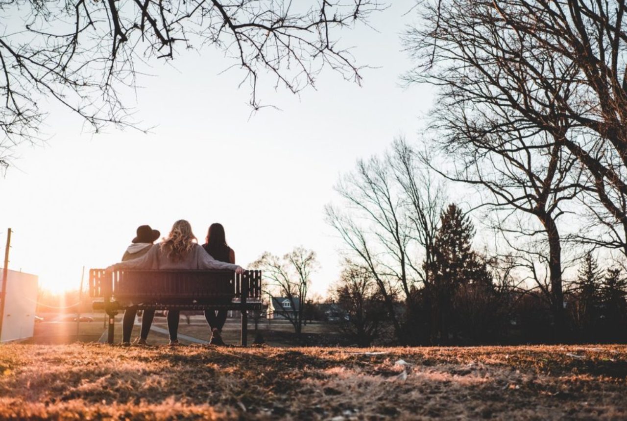 three-person-sitting-on-bench-under-withered-trees-2645707