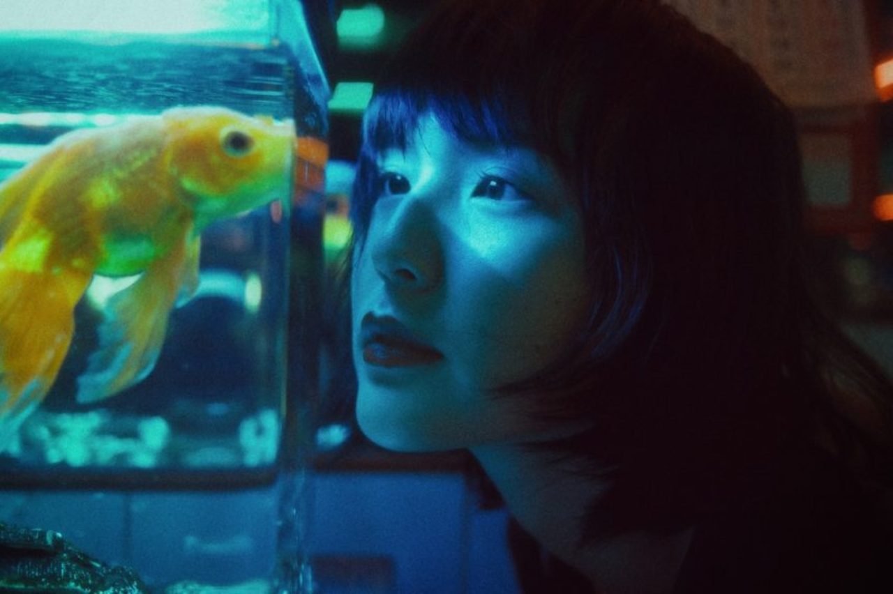 ethnic-woman-looking-at-fish-in-aquarium-4958618/